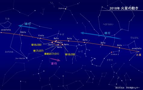 11月28星座